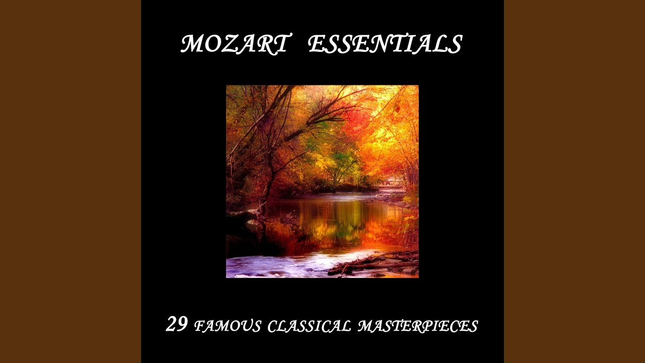 Concerto for Horn and Orchestra No. 3 in E flat major KV447, Allegro