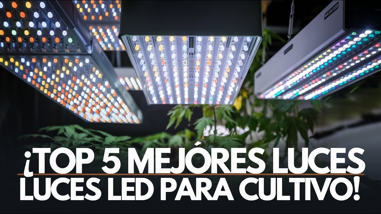 🌱💡 &iexcl;Top 5 Mejores Luces LED para Cultivo que Har&aacute;n Crecer tus Plantas al M&aacute;ximo! 💡🌿
