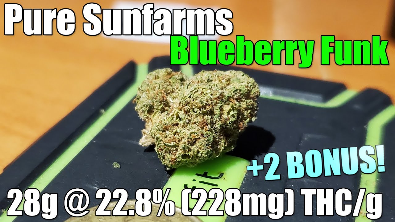 Pure Sunfarms - Blueberry Funk - Unboxing Review - 28g @ 22.8% (228mg) THC/g (+Extreme Closeups)