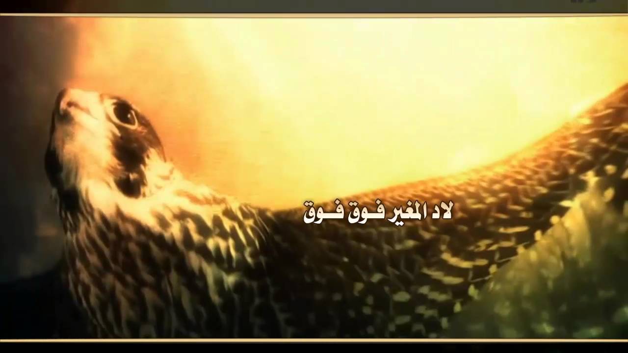 شيلة روس روق |  كلمات بدر بن مطر بن عتقان المغيري | اداء صوت ال مزرم