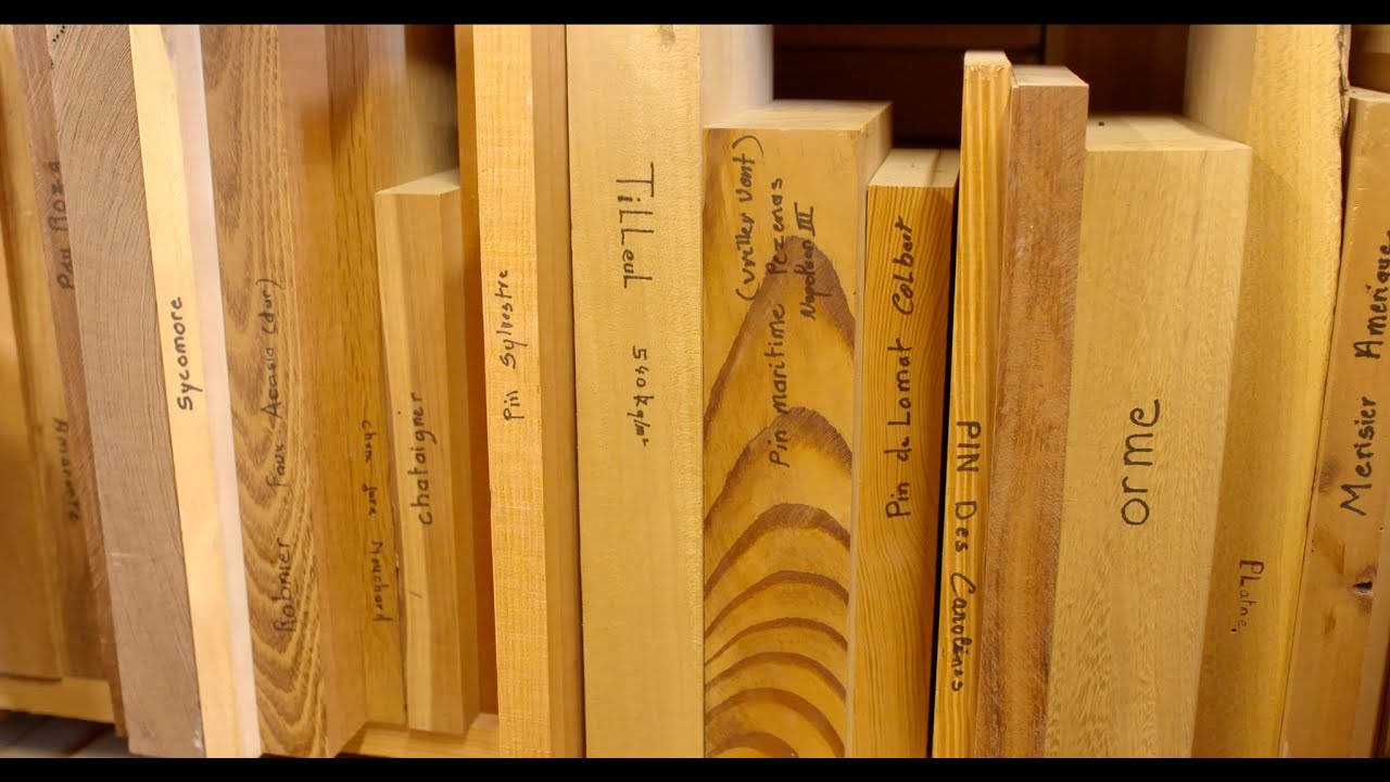 La collection IVORRA - Le musée de la porte