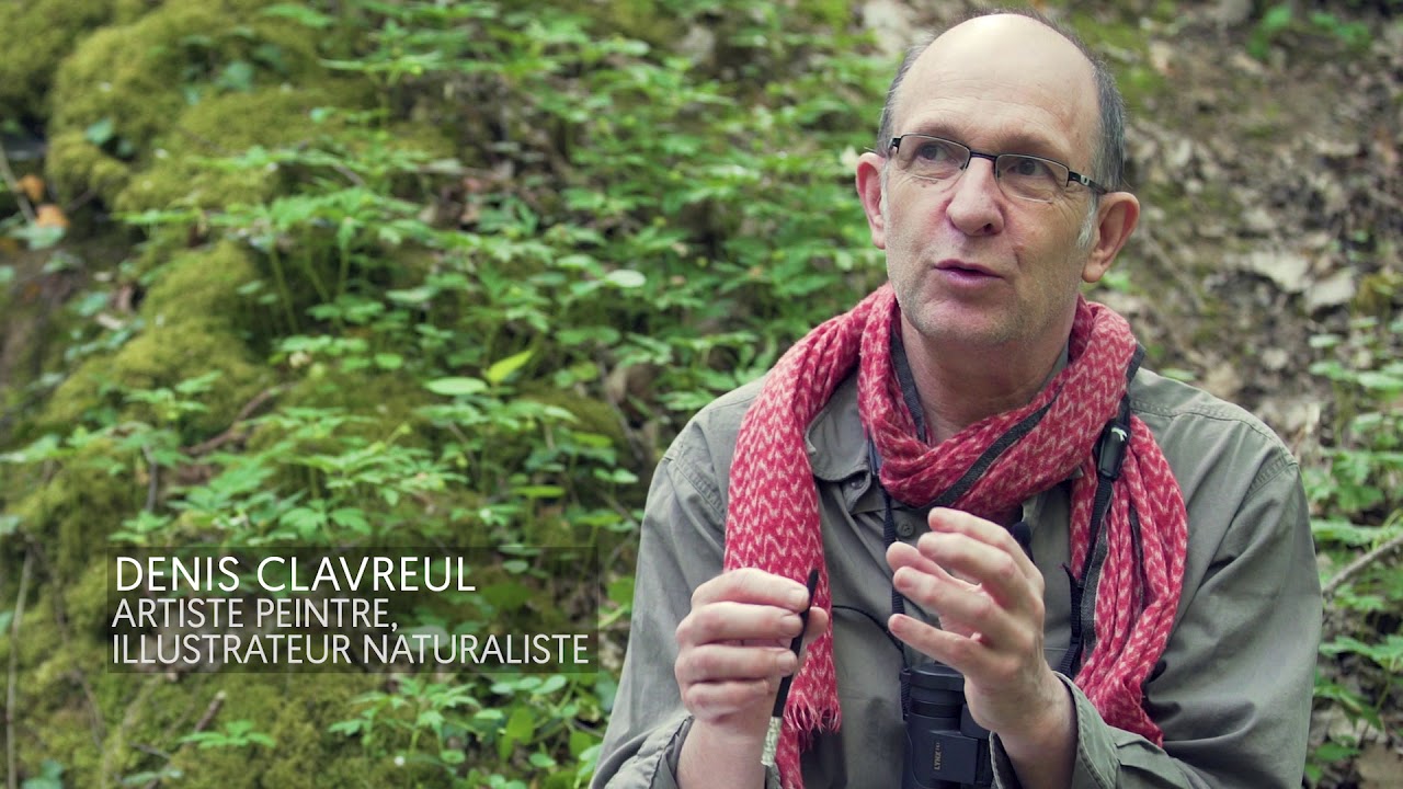 La Forêt des Salamandres - Denis Clavreul - extrait n°1