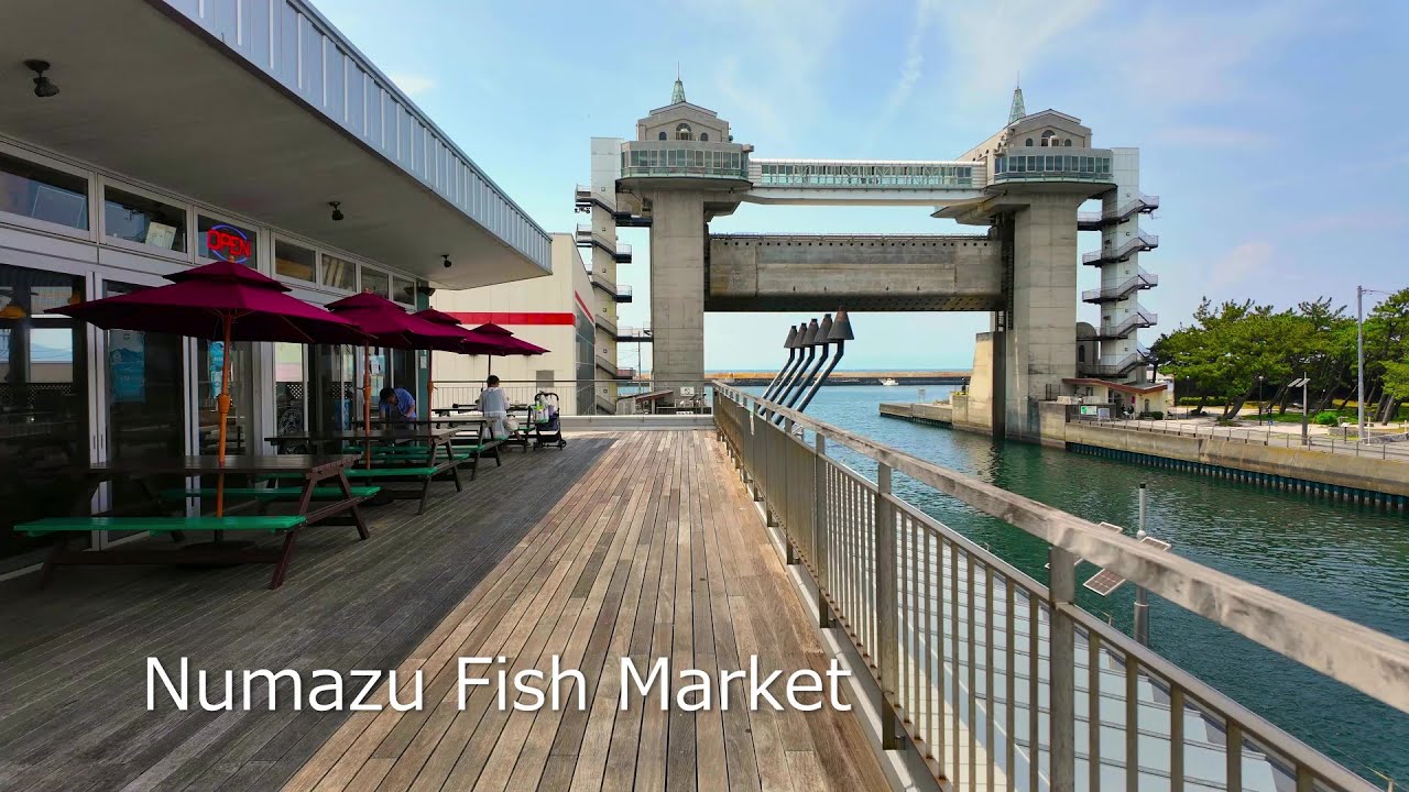 【沼津散歩＆ランチ】沼津魚市場INO、レストラン、展望デッキ