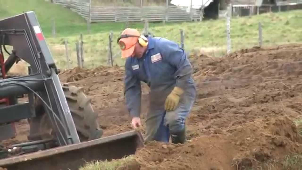 Program One - Madonna House