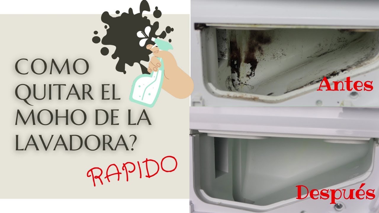 LIMPIAR la LAVADORA por DENTRO / COMO QUITAR EL MOHO DE LA LAVADORA