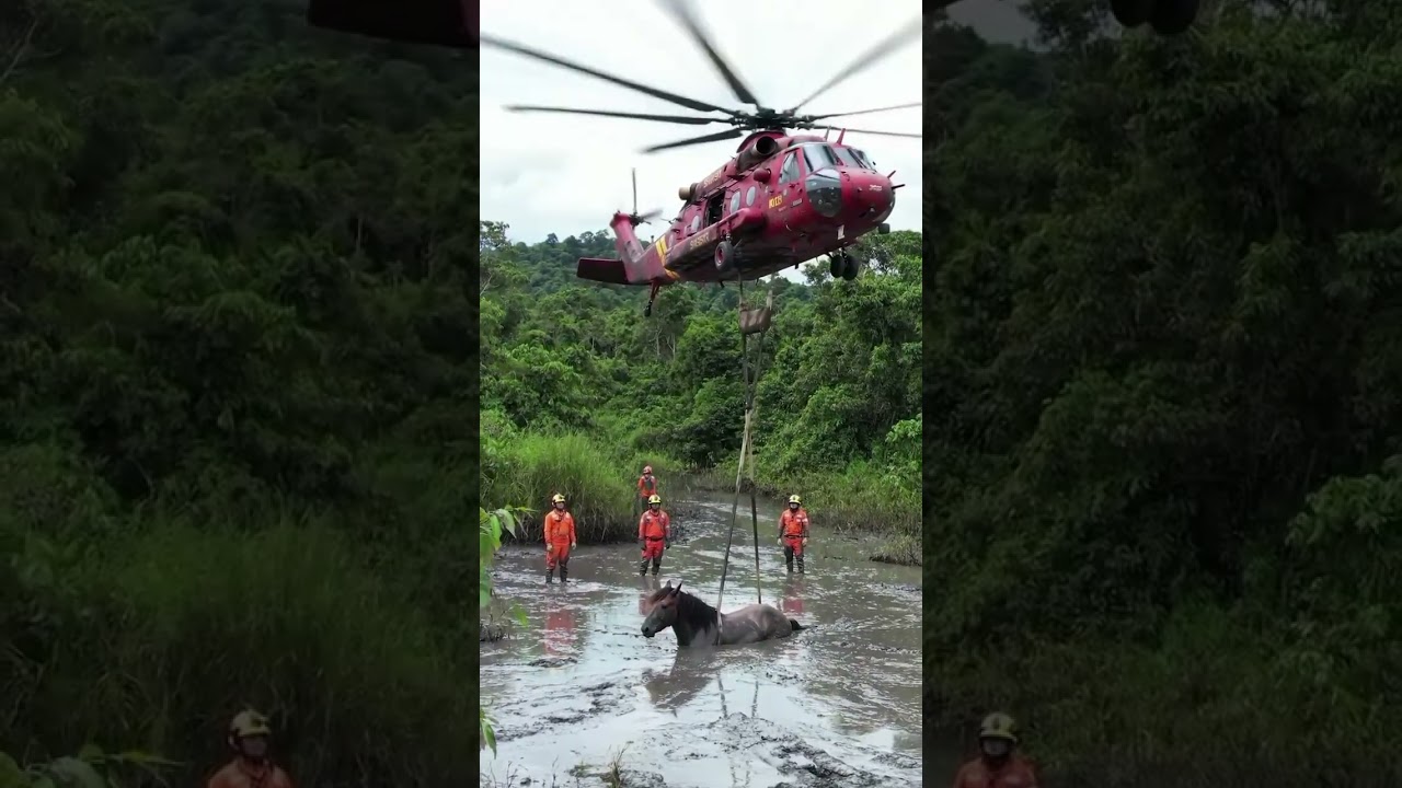 Horse Rescue &ndash; Full Helicopter Operation Caught on Camera