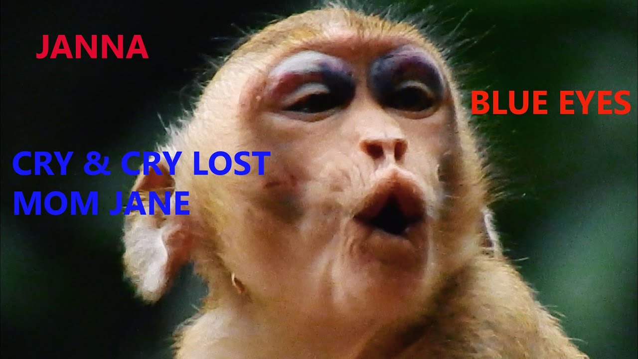 YOU WILL CRY SHOW BABY JANNA GET DEEP SAD FALL DOWN FROM TREE TILL UNCONSCIOUS & WAKE UP LOST MOM |