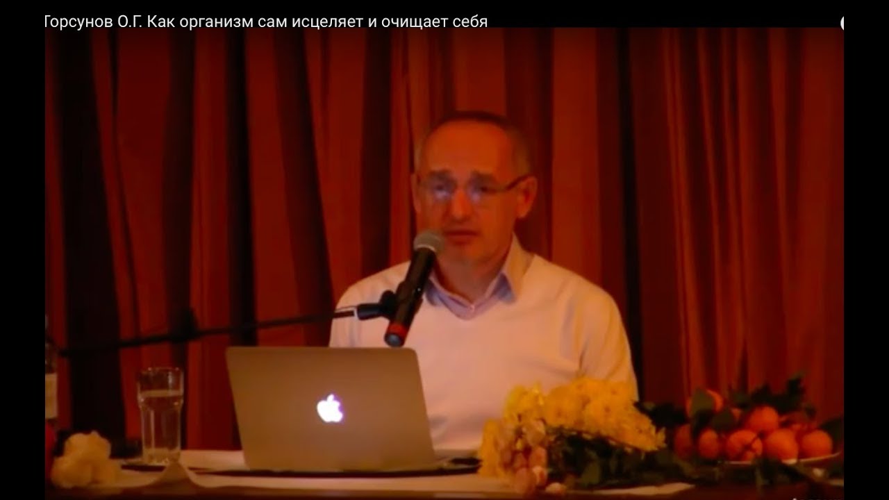 Торсунов О.Г.  Как организм сам исцеляет и очищает себя