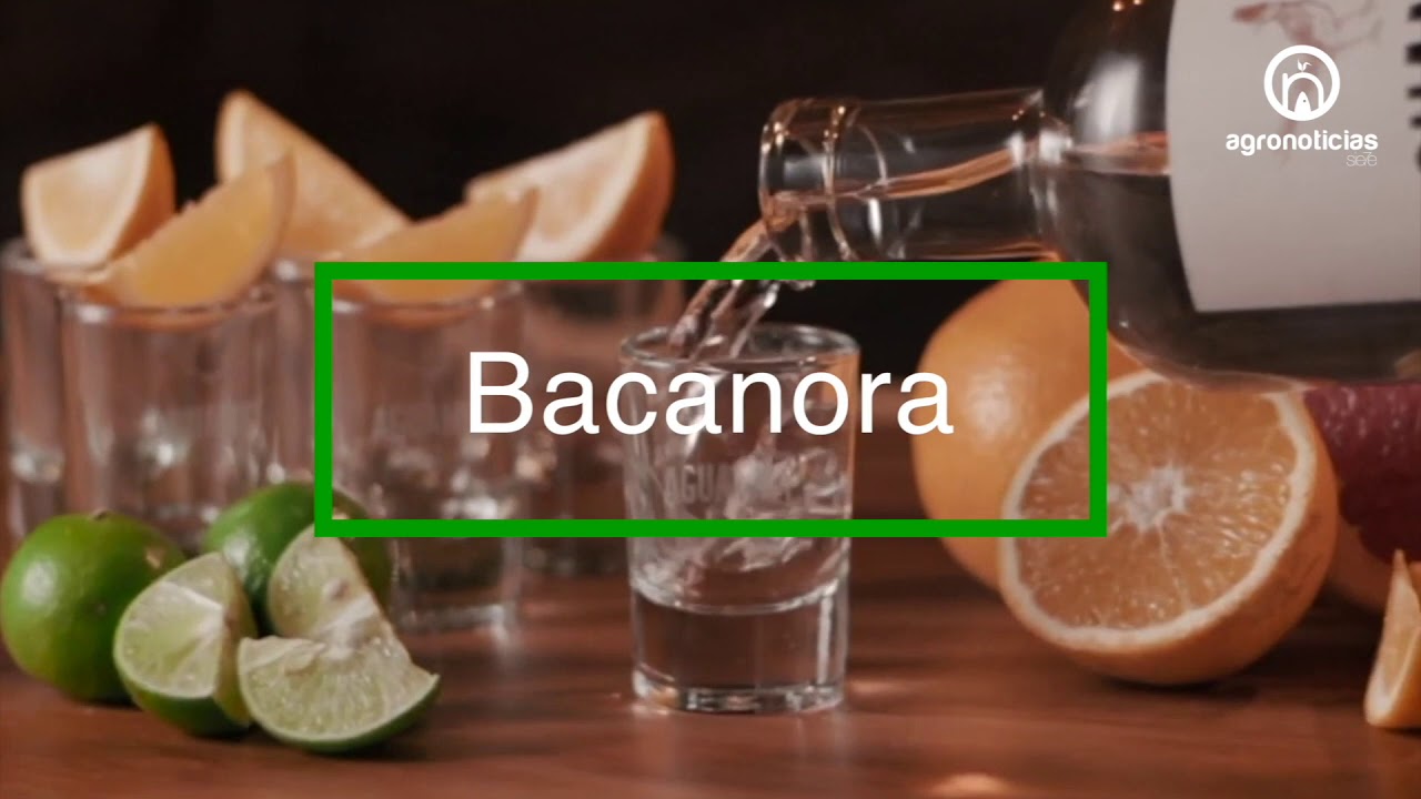 SOTOL BACANORA Y CHARANDA