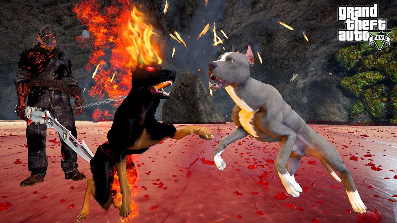 PİTBULL TERMİNATÖR CEHENNEM MAĞARASINDA ASMODEUS'LA DÖVÜŞÜYOR! - GTA 5 PİTBULL'UN HAYATI