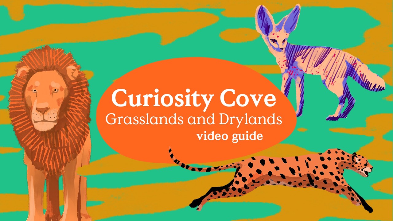 Video Guide: Curiosity Cove – Grasslands & Drylands