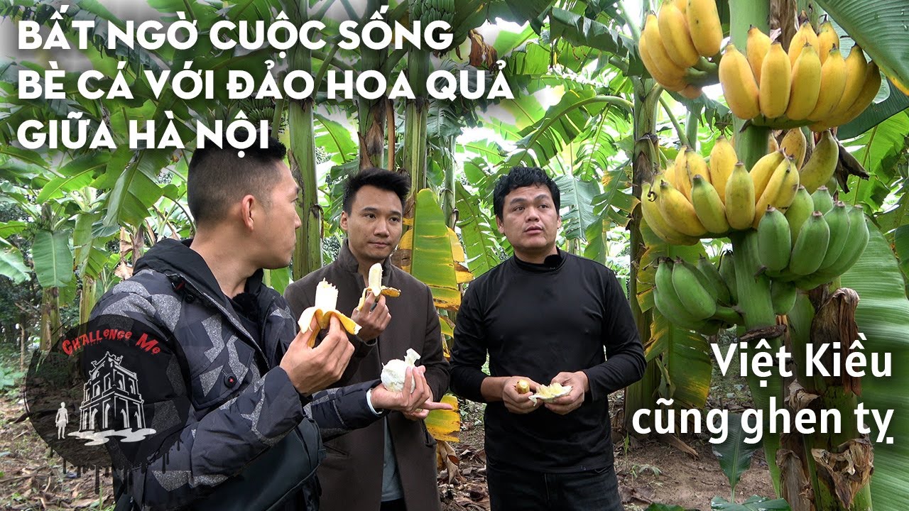 Ở Hà Nội cũng ít người biết - 