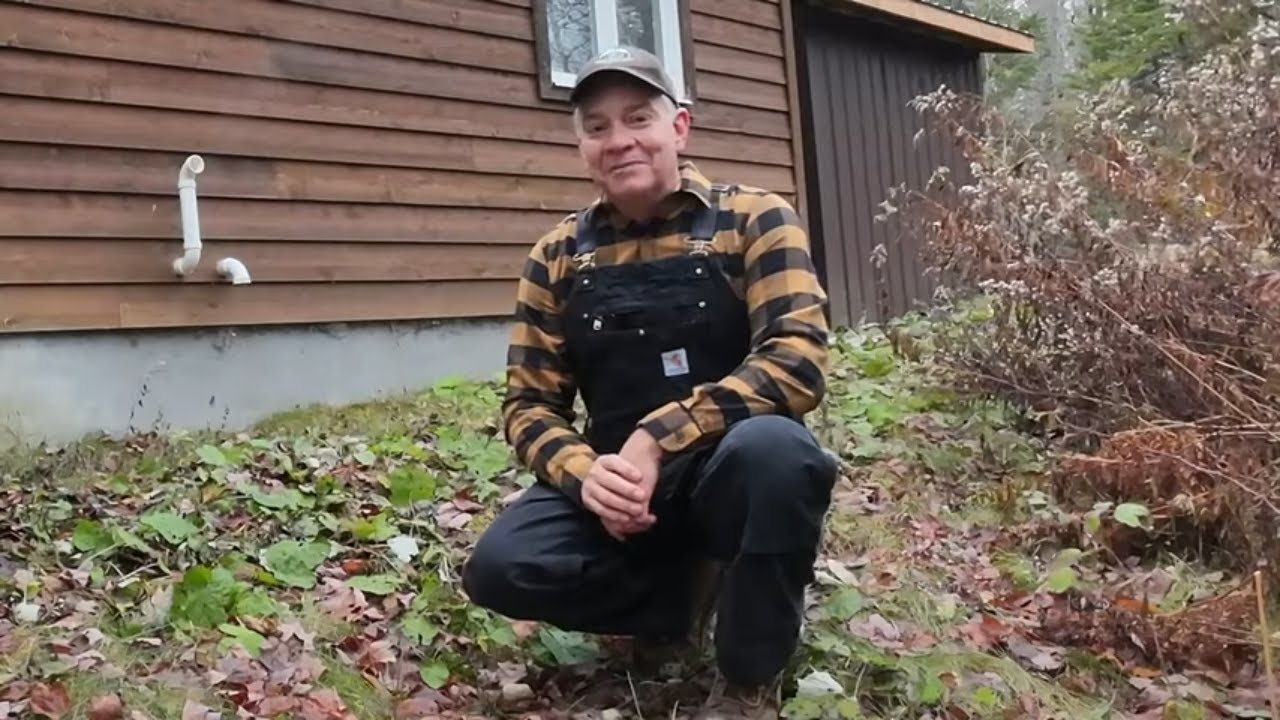 722. Избегайте этих ошибок с мышеловками! Честный обзор мышеловки Goodnature A24 за 4 года. Коттедж.