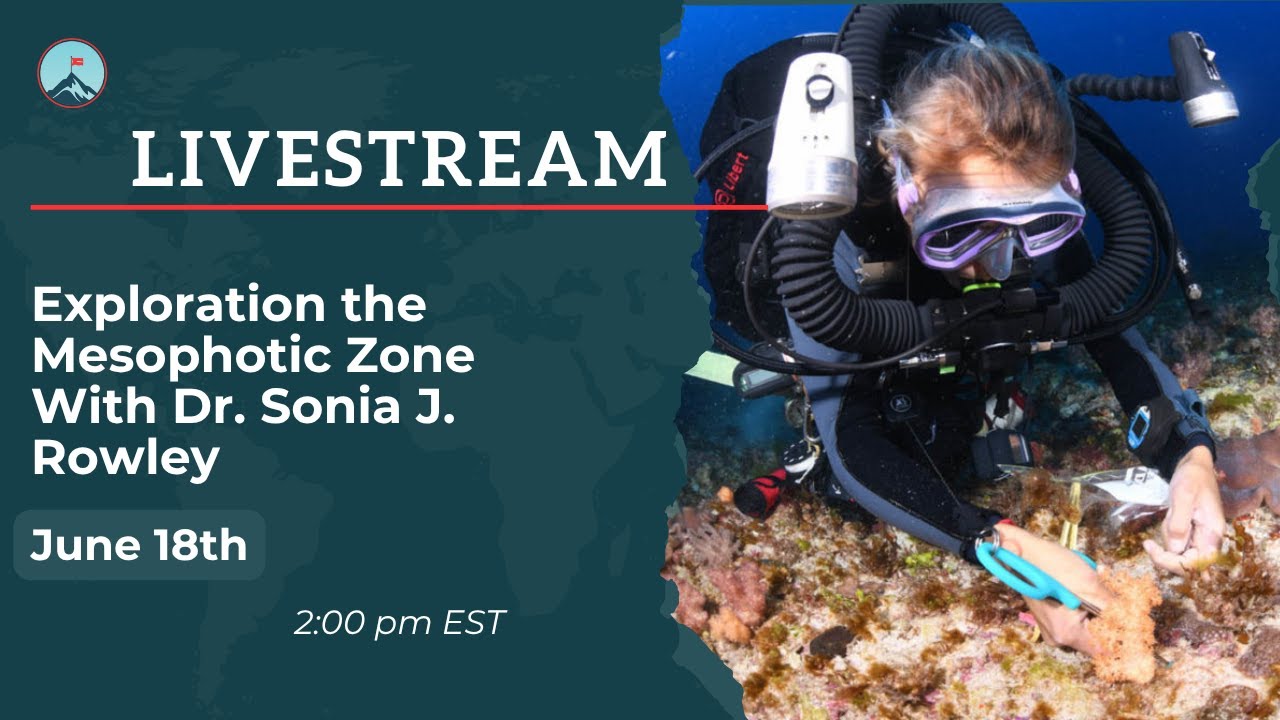 Exploration the Mesophotic Zone With Dr. Sonia J. Rowley