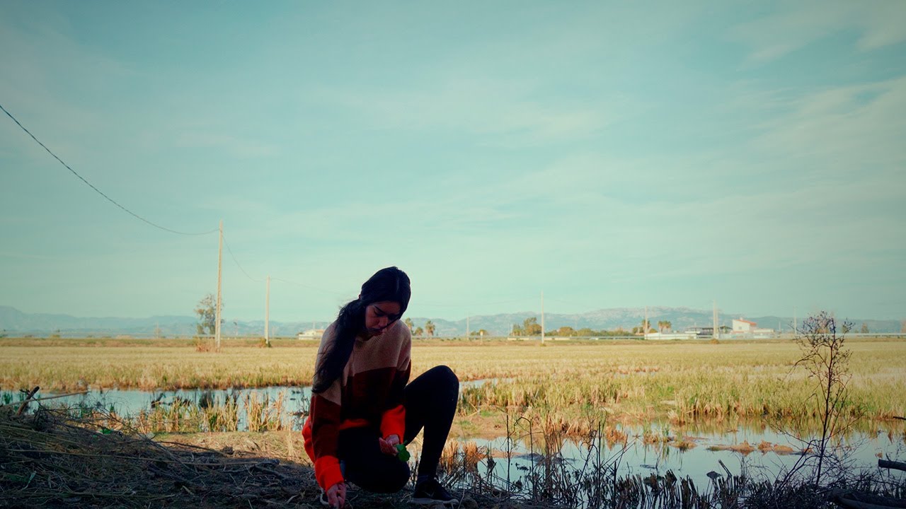 Slow Living: Quiet Cottagecore Autumn Days in Ebro Delta