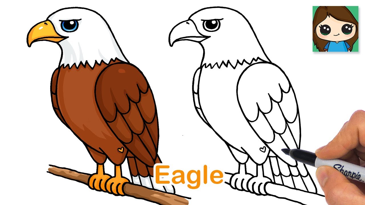 How to Draw a Bald Eagle 🦅