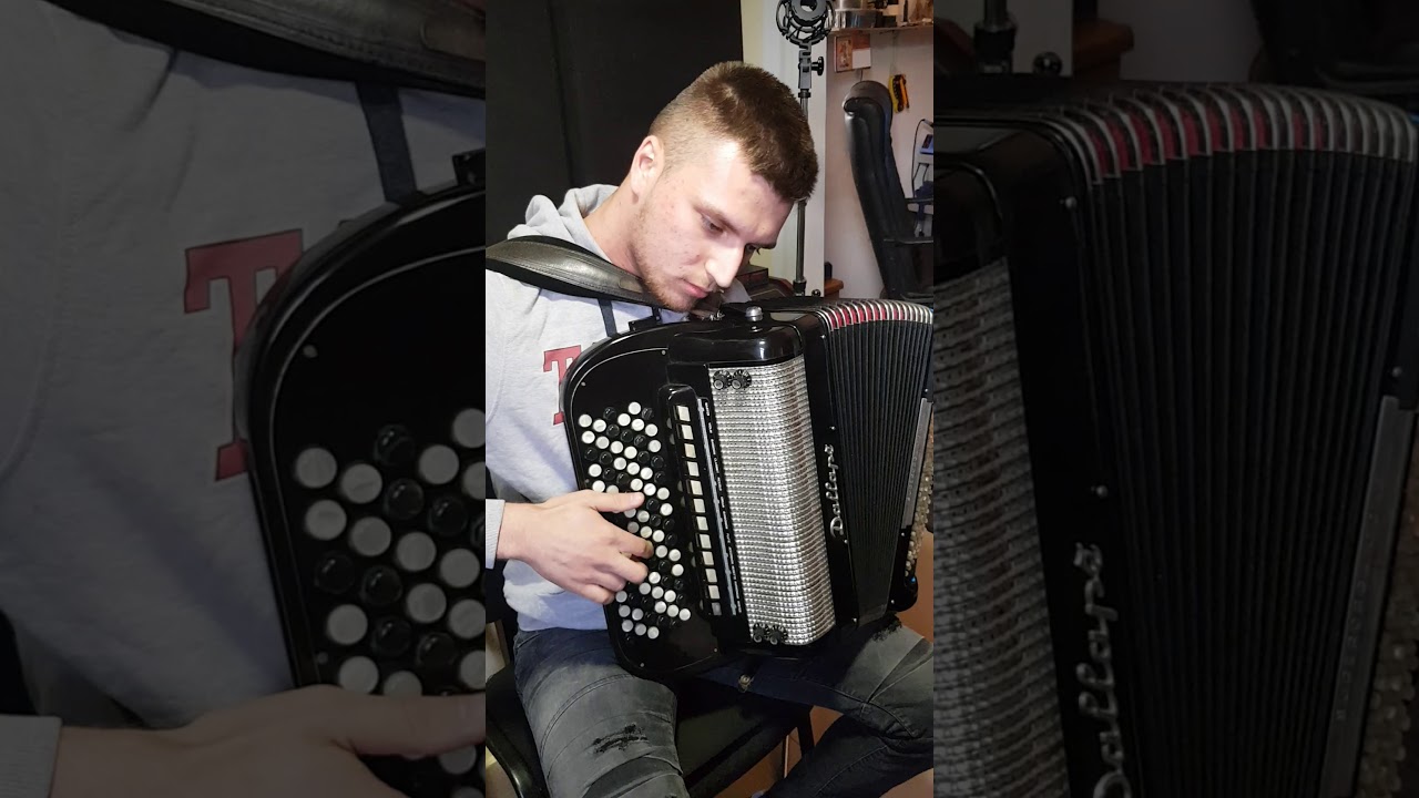 Wien Dallape Rucni Rad  kojoj sam upravo zavrsio stimanje tonova