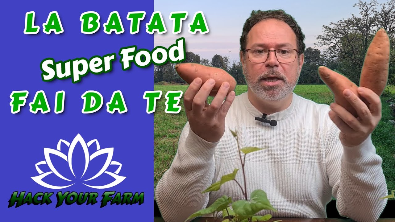 IL SUPER CIBO: coltiva la BATATA dove vuoi