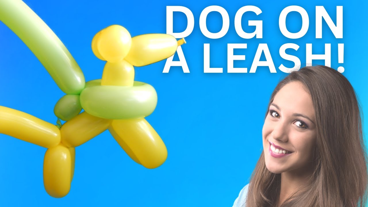 Learn How to Make a Balloon Animal Dog On a Leash   #balloondog  #balloonanimals
