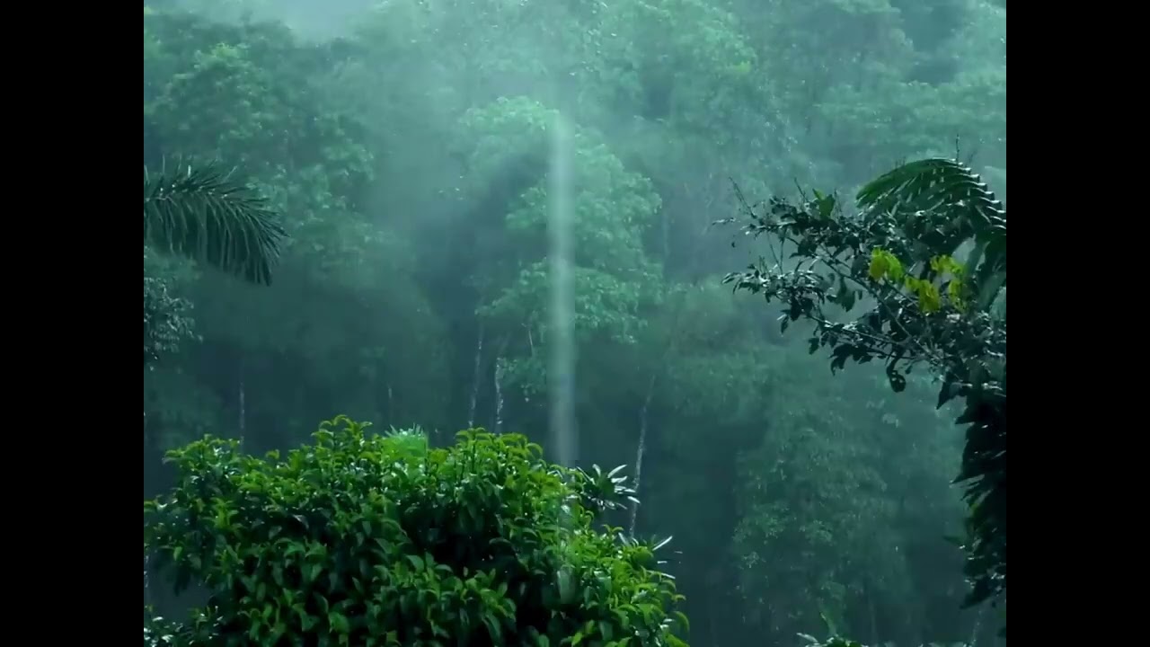 #rainsounds  #naturesounds  #mountainnature  #sleepmusic   #whitenoise  #Lullaby #asmr