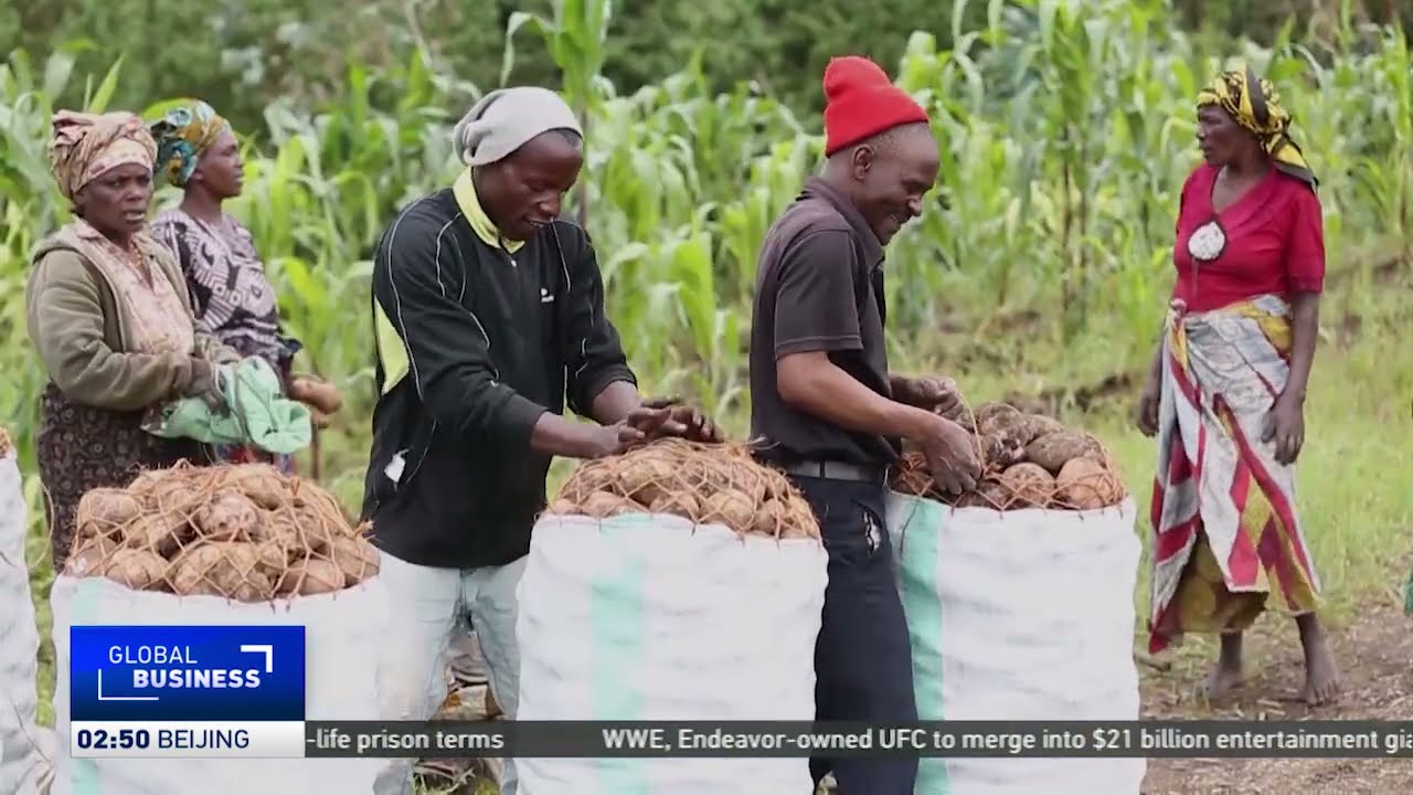 Tanzania implements a plan to steer young people toward jobs in farming