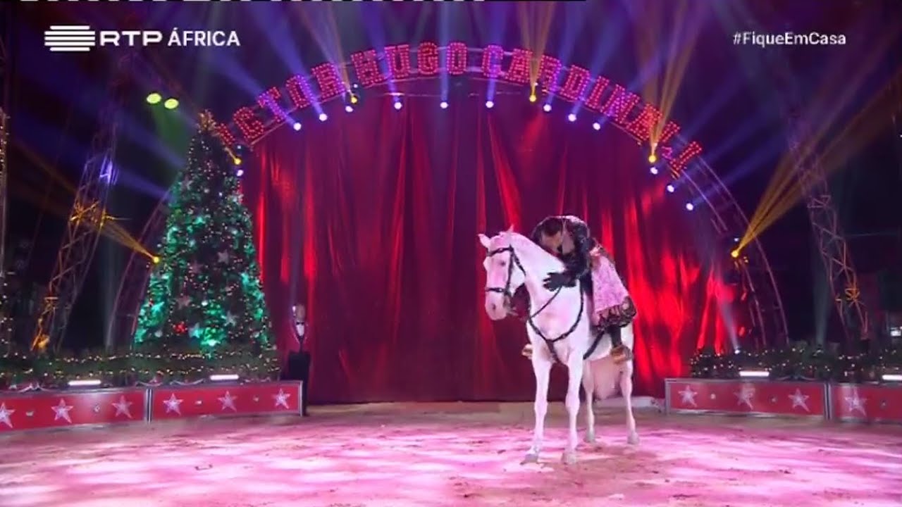 Victor Hugo Cardinali Júnior - Cavalos e Camelos - Circo de Natal 2019/2020