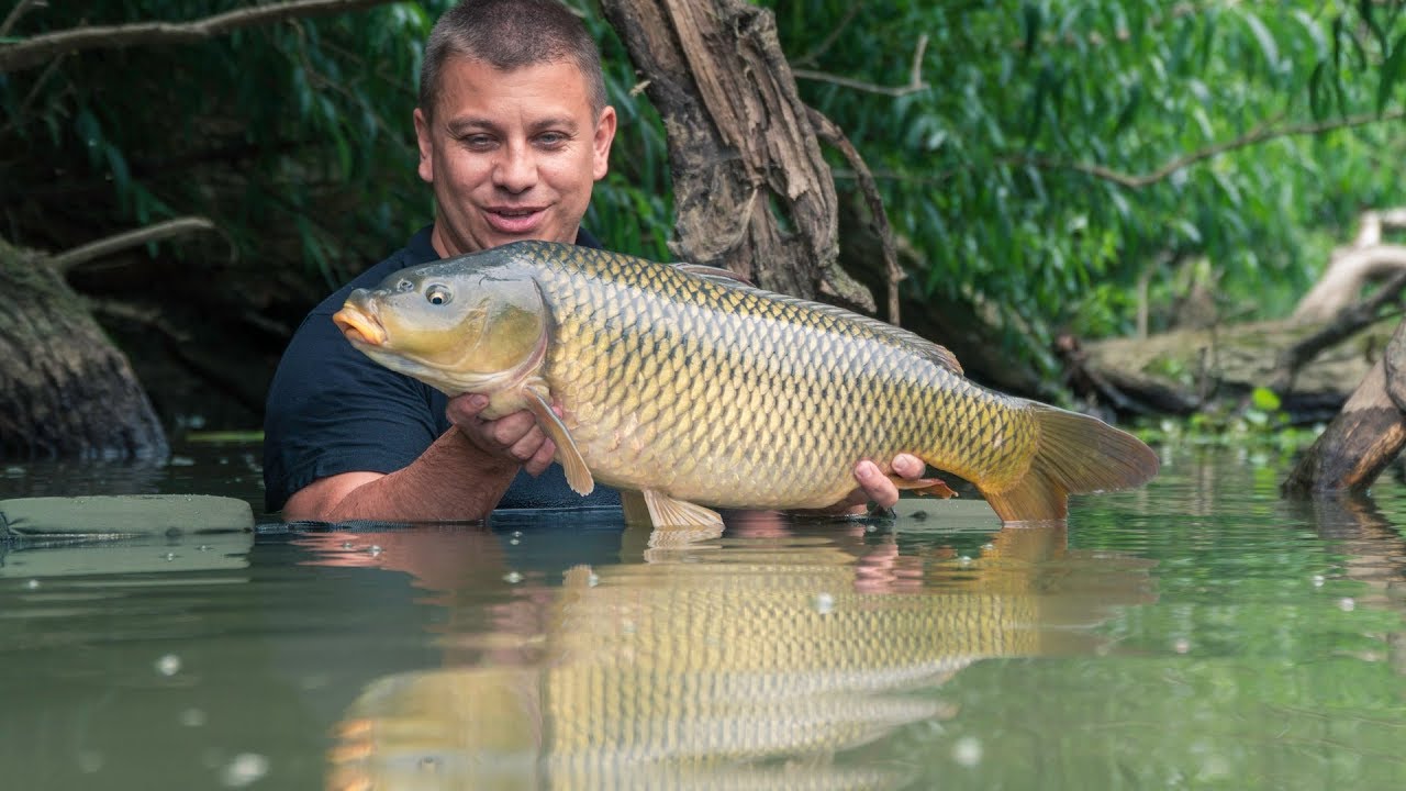 A Bodrog kincsei / Treasures of River Bodrog