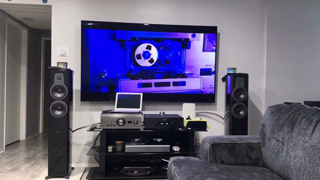 Hegel H 390 Dynaudio contour 30l