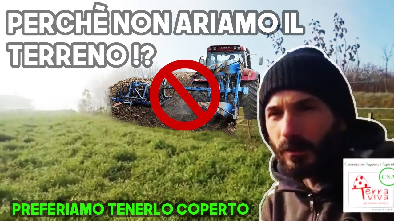 SOVESCI e COVER CROPS - Perchè e come li facciamo
