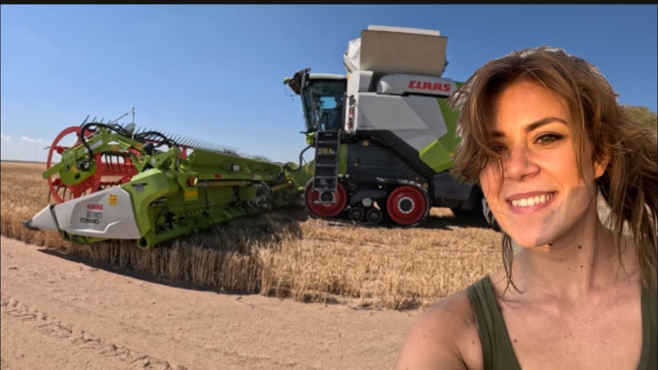 My First Wheat Harvest | CLAAS Lexion 8600TT