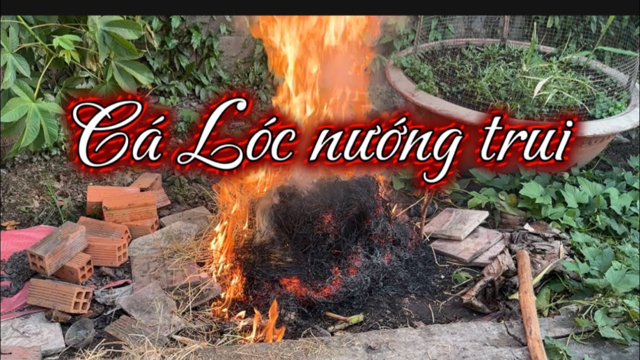 Bánh tráng cá lóc nướng trui