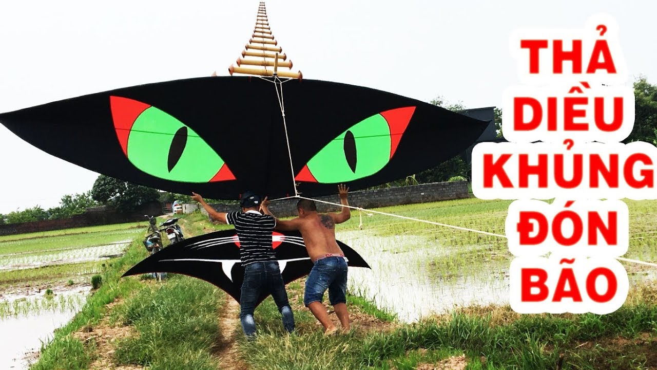 Thả diều CÚ BỌ KHỔNG LỒ 5 mét 5 đón bão -fly a kite - Phuong PV