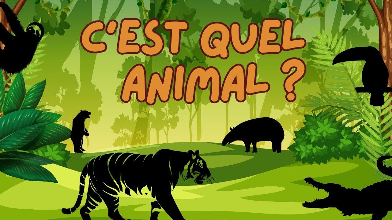 Quiz Jungle: Devine les animaux ! 🐅🐒🦎🐍🐻