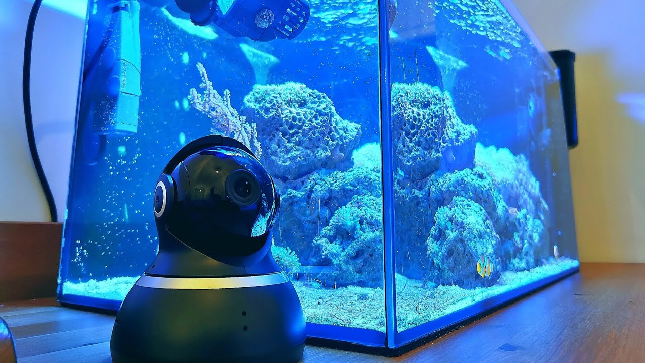 Nano Reef Vlog | Monitoring do akwarium czyli jedziemy na urlop | (40)