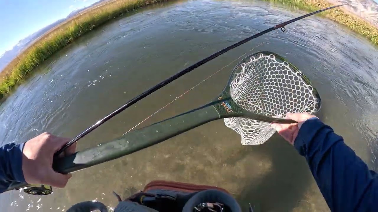 🎣Euro Nymphing Upper Owens - 2 Monster Trout - Rainbow Trout and Brown Trout 10-6-2025