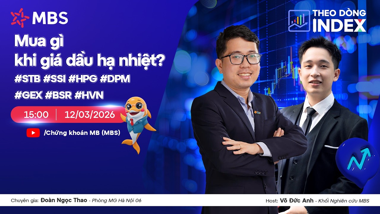 MUA GÌ KHI GIÁ DẦU HẠ NHIỆT? #STB #SSI #HPG #DPM #GEX #BSR #HVN | THEO DÒNG INDEX 12.03.2026