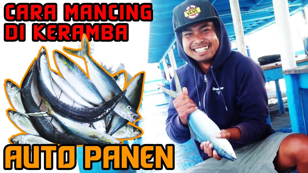 CARA MANCING DI KERAMBA APUNG || Auto PANEN dalam 1 jam