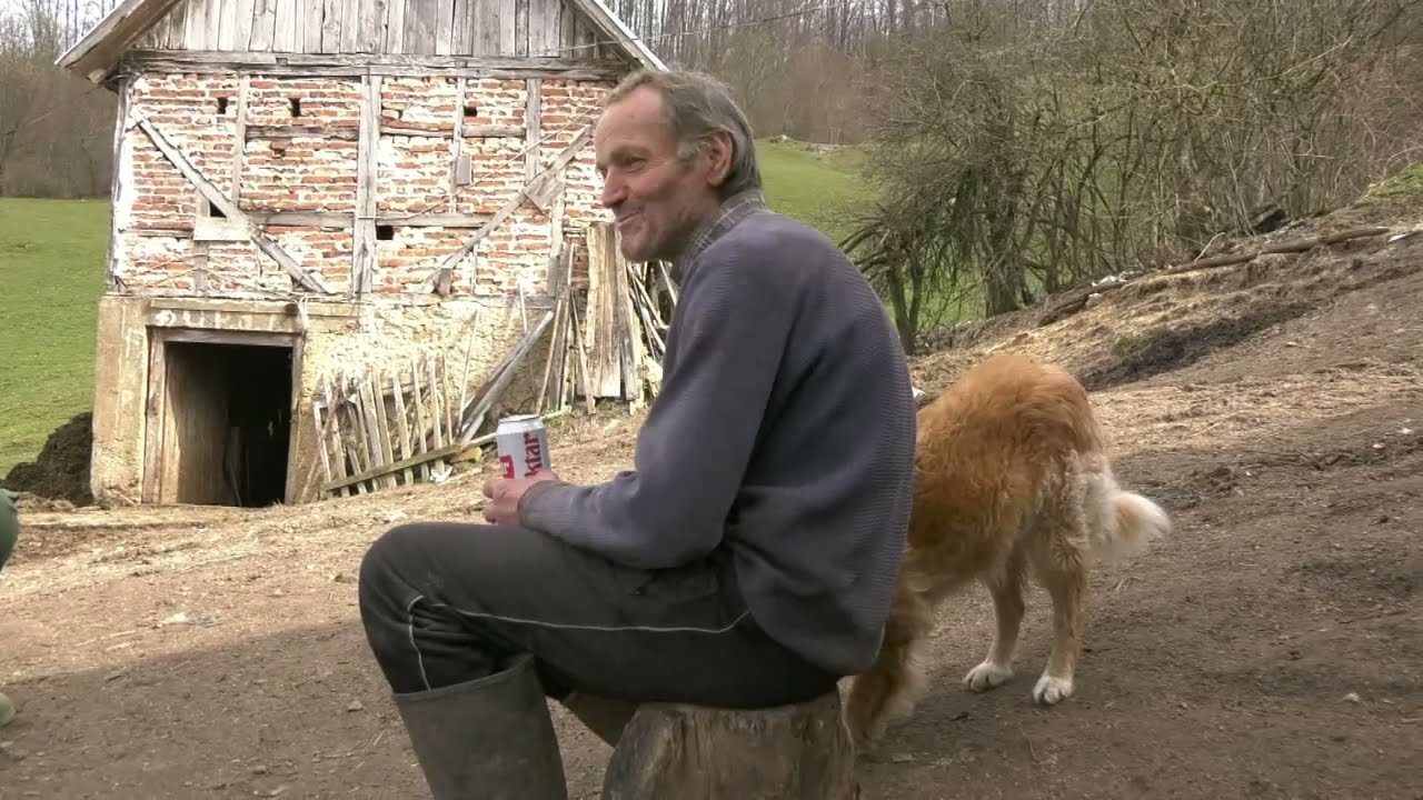 - VOLIM DA SE MENI NEŠTO DOGODI NEGO MOJIM GOVEDIMA, STOČAR DJURO ANTIĆ 2025