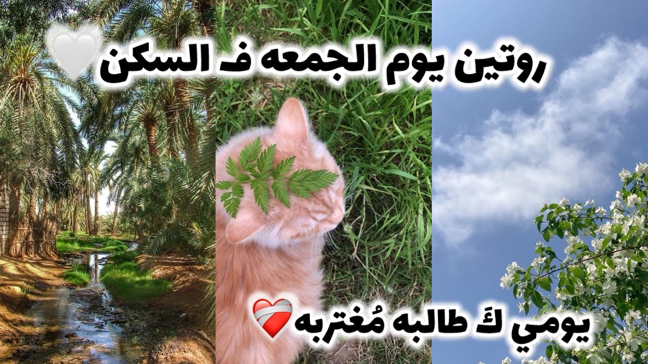 مُقتطفات من يوم الجُمعه✨