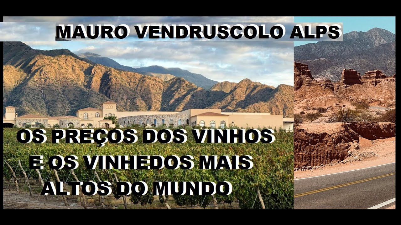 OS PREÇOS DOS VINHOS EM BERNARDO DE IRIGOYEN DOS VINHEDOS MAIS ALTOS DO MUNDO