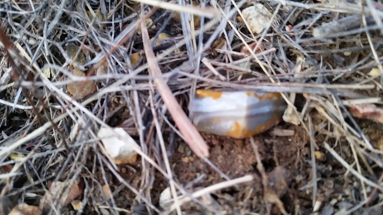 Mozarkite locations, rockhounding Missouri