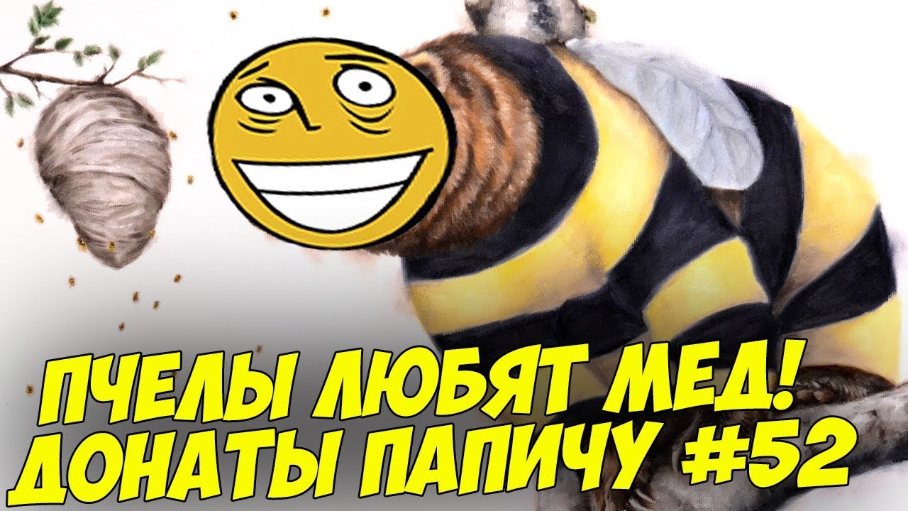 ПЧЕЛЫ ЛЮБЯТ МЕД! ДОНАТЫ ПАПИЧУ #52