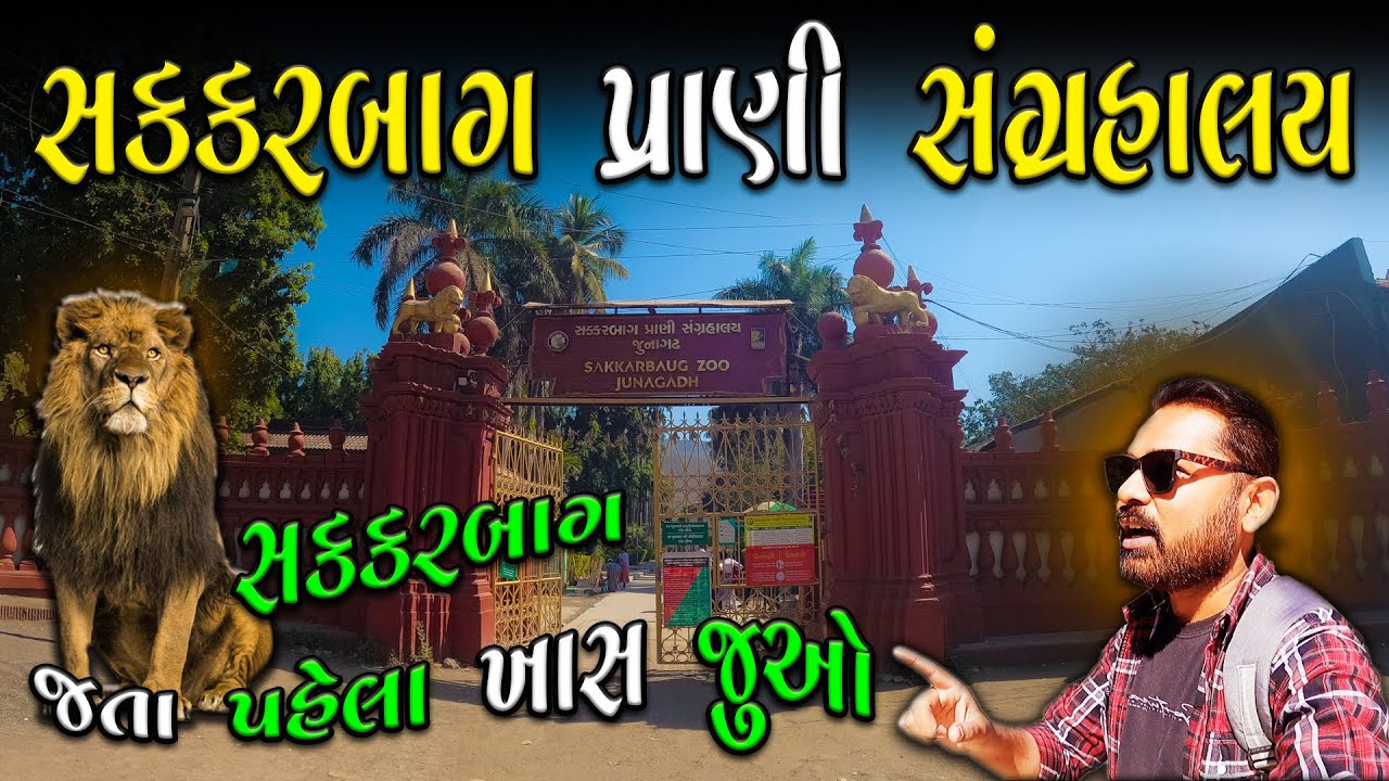 Sakkarbaug Zoo નો  આવો વિડીયો તમે નહીં જોયો હોય | Sakkarbaug Zoological Park | Sakarbaug Zoo 2024