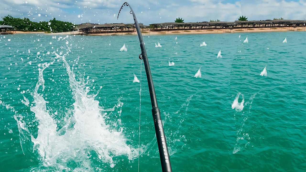 Cardumes de Guarajuba Atacam Sem Parar! 🎣💥