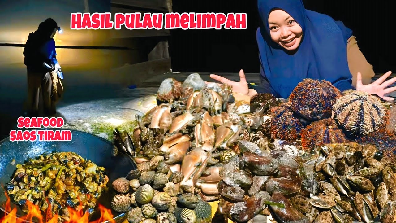 AMAZING‼️KERANG DAN SIPUT BERSERAKAN DI PULAU SANGKUBUR
