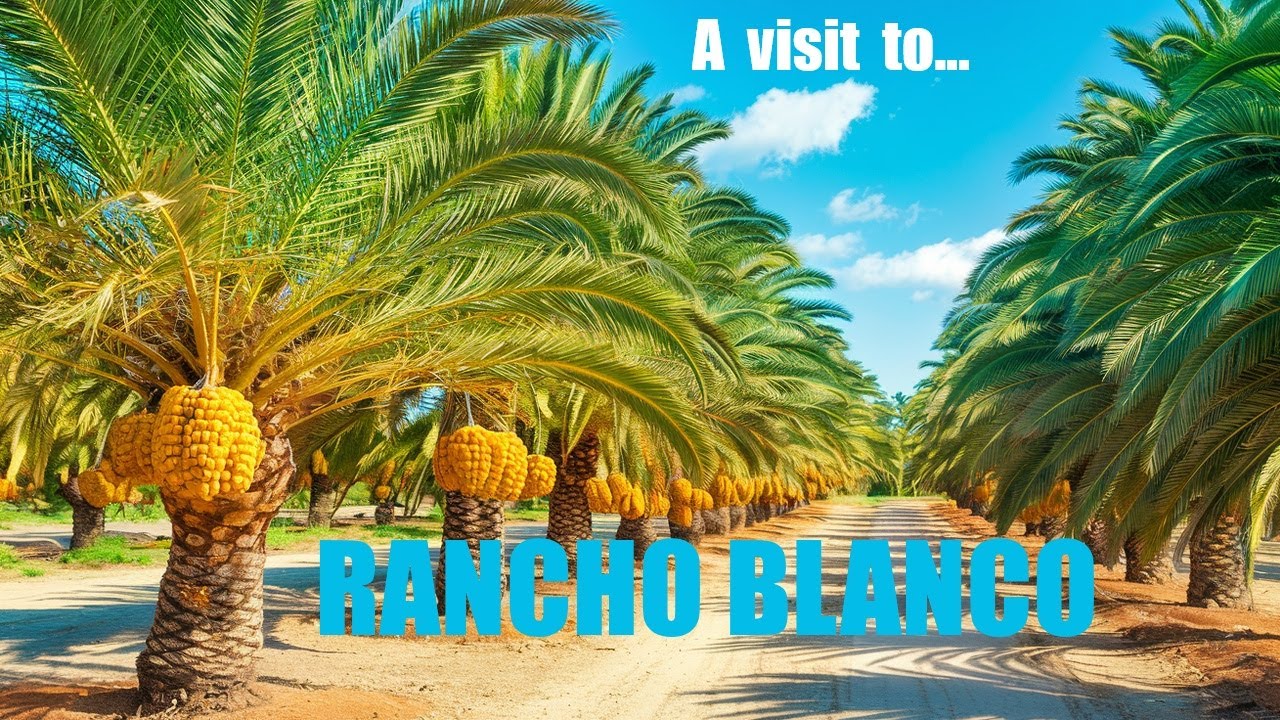 Финиковая ферма Rancho Blanco в Батангасе, Филиппины