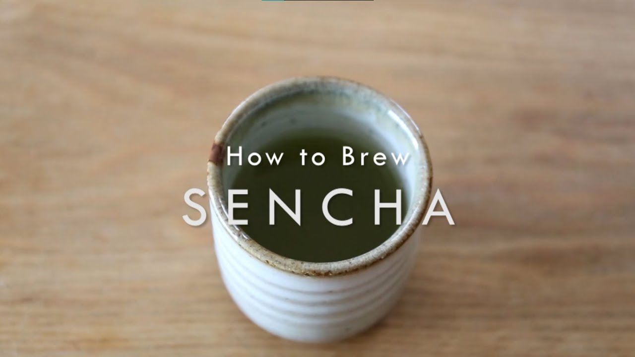 Easy Tutorial: How to Brew Sencha Green Tea Correctly
