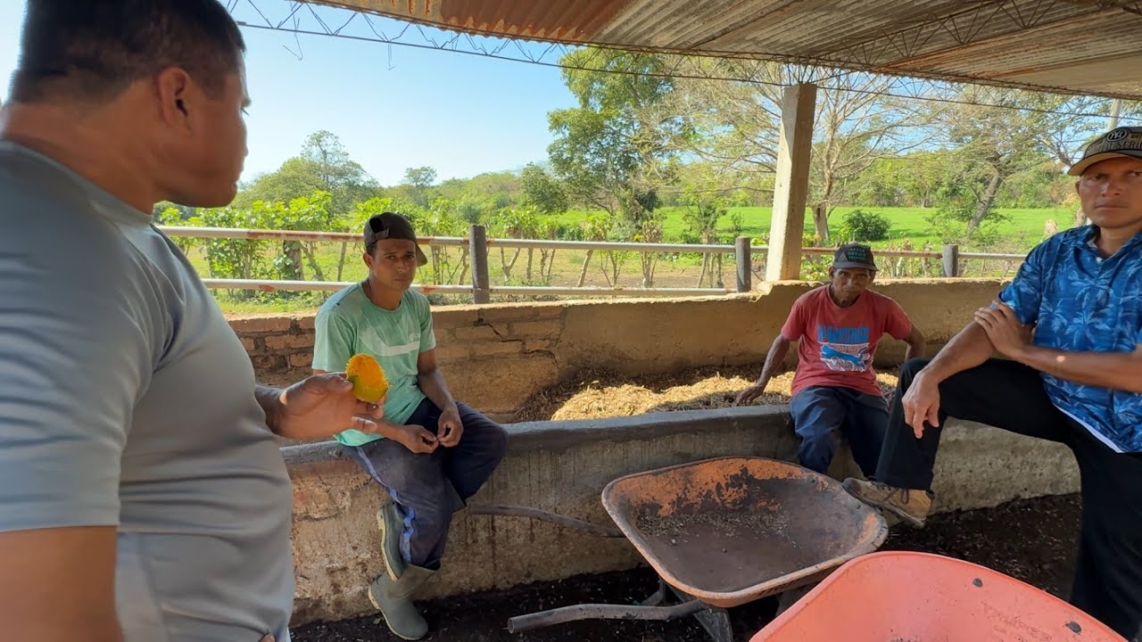 Mira a Miguel cuantos elotes le dio a don milo 🤣 
