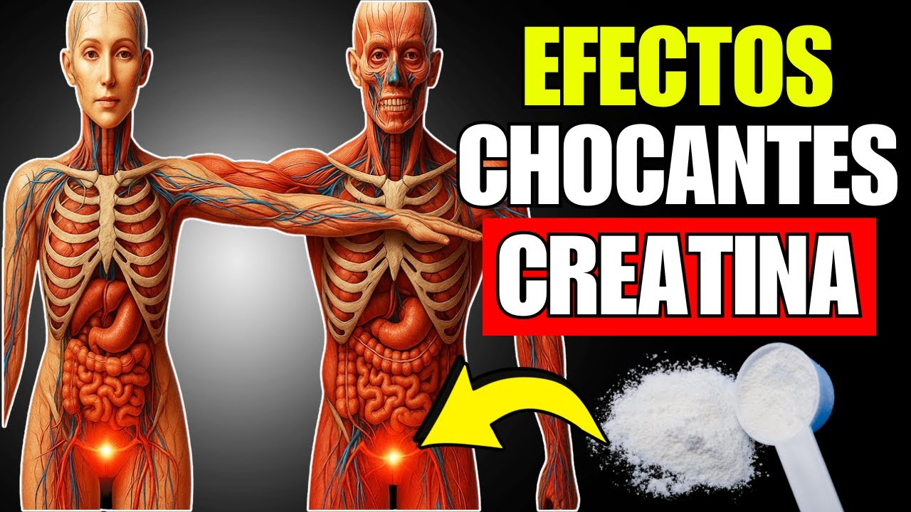 10 Reacciones de Tu Cuerpo al Consumir 5 Gramos de Creatina al Día