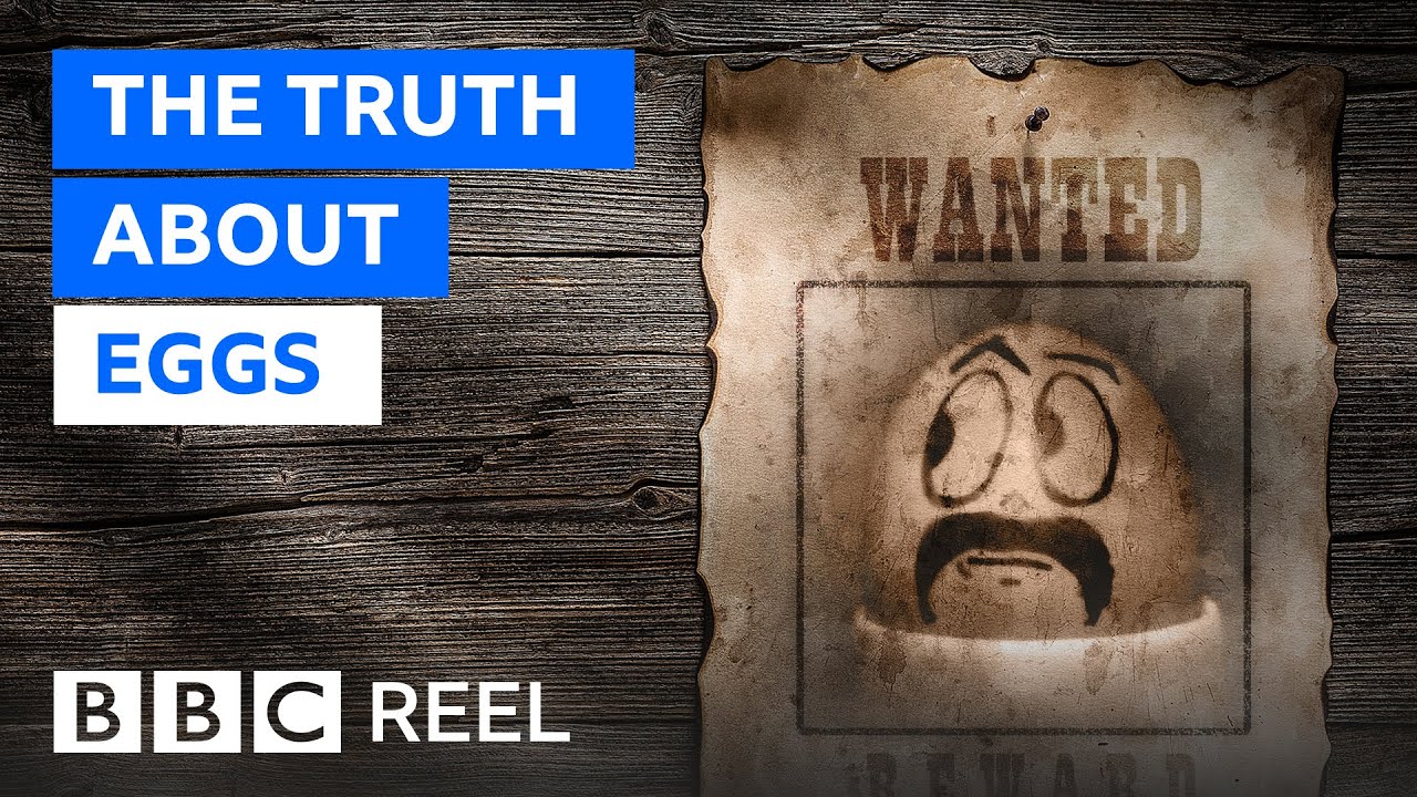 The truth about eating eggs - BBC REEL
